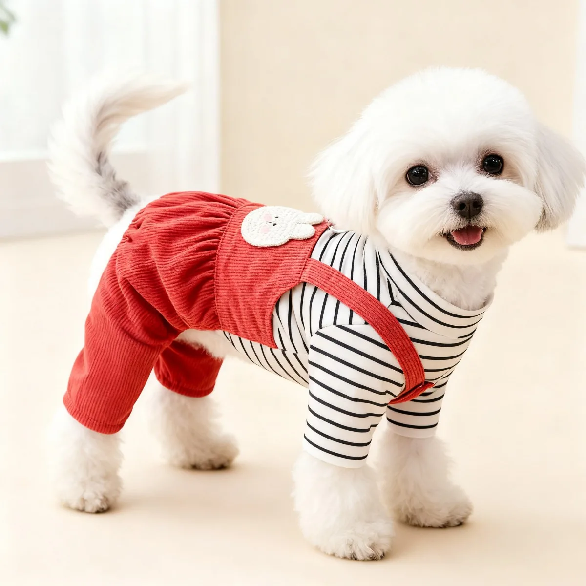 Summer Days Clothing - Ropa para mascotas, Ropa para perros,