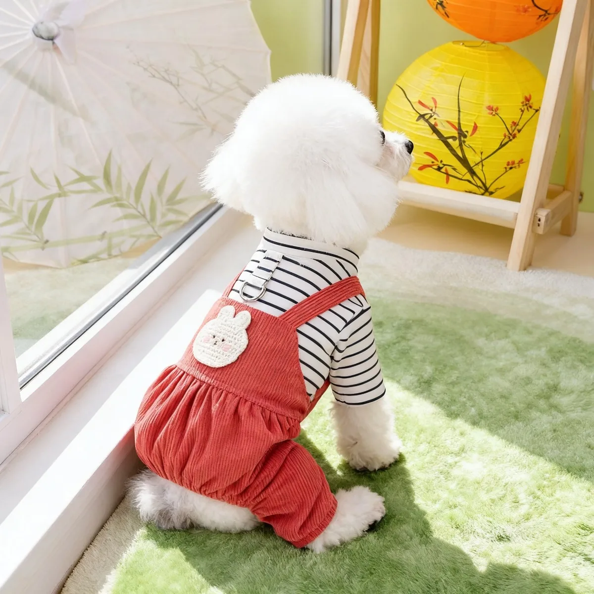 Ropa para mascotas, Ropa para  - Summer Days Clothing reseña y precio