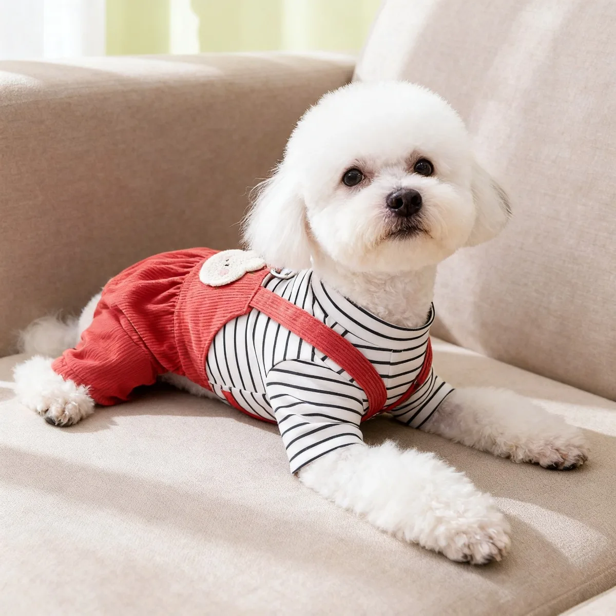 Ropa para mascotas, Ropa para  - Summer Days Clothing reseña y precio