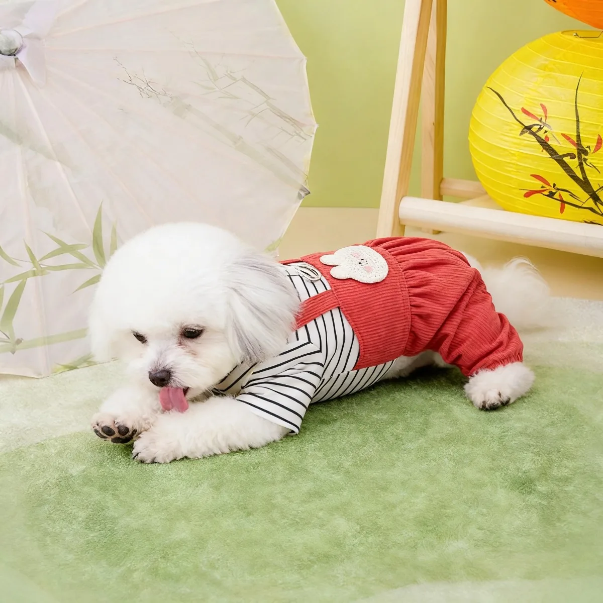 Ropa para mascotas, Ropa para  - Summer Days Clothing reseña y precio